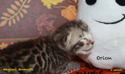 1 week ~ Oct 28