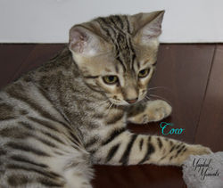 13 weeks ~ Sept 9