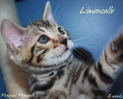 8 weeks ~ Sept 23