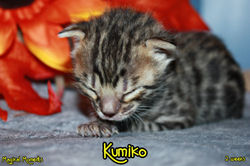 2 weeks ~ Nov 18