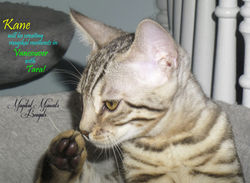 Kane is reserved!