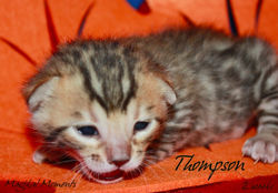 2 weeks ~ Oct 8