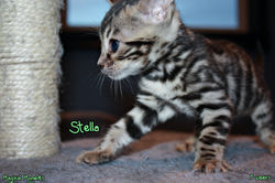 5 weeks ~ Dec 9