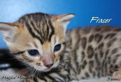 3 weeks ~ Oct 14