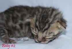 Sept 9 ~ 12 days old