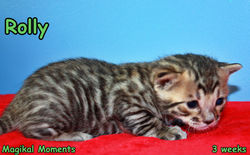 3 weeks ~ July 17