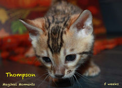 5 weeks ~ Oct 28