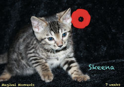 7 weeks ~ Nov 11