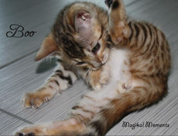 9 weeks ~ Oct 29