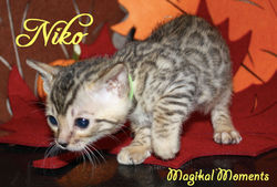 5.5 weeks ~ October 5