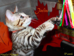 10 weeks ~ Oct 8