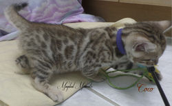 5 weeks ~ July 11