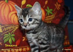 5 weeks ~ Oct 28