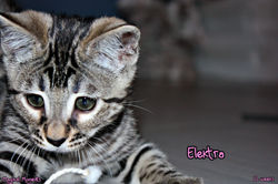 11 weeks ~ Dec 27