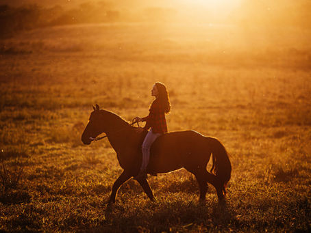 In His Hands: Resting in the Sovereignty of God