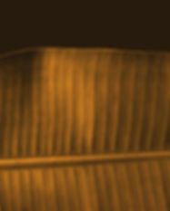 Brown Leaf