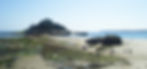 Mount's Bay Caravan Park - Home1