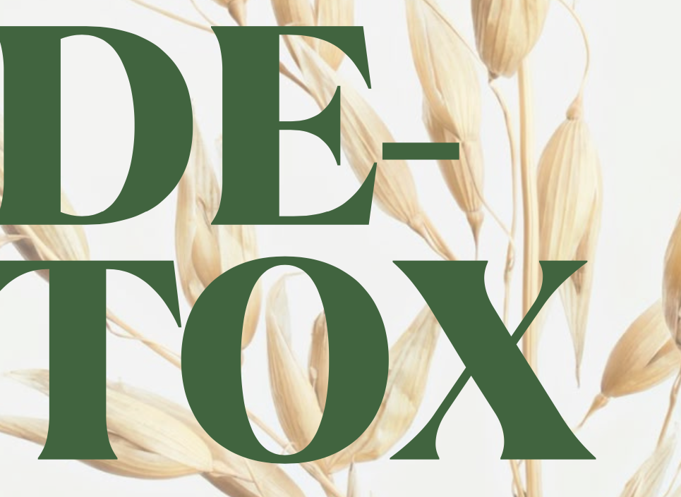 Gentle Detox Guide . SELFcare Reset & Nourish