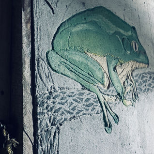 The Wisdom Beneath the Skin . Lilith