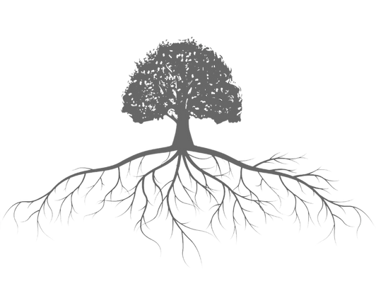 Roots