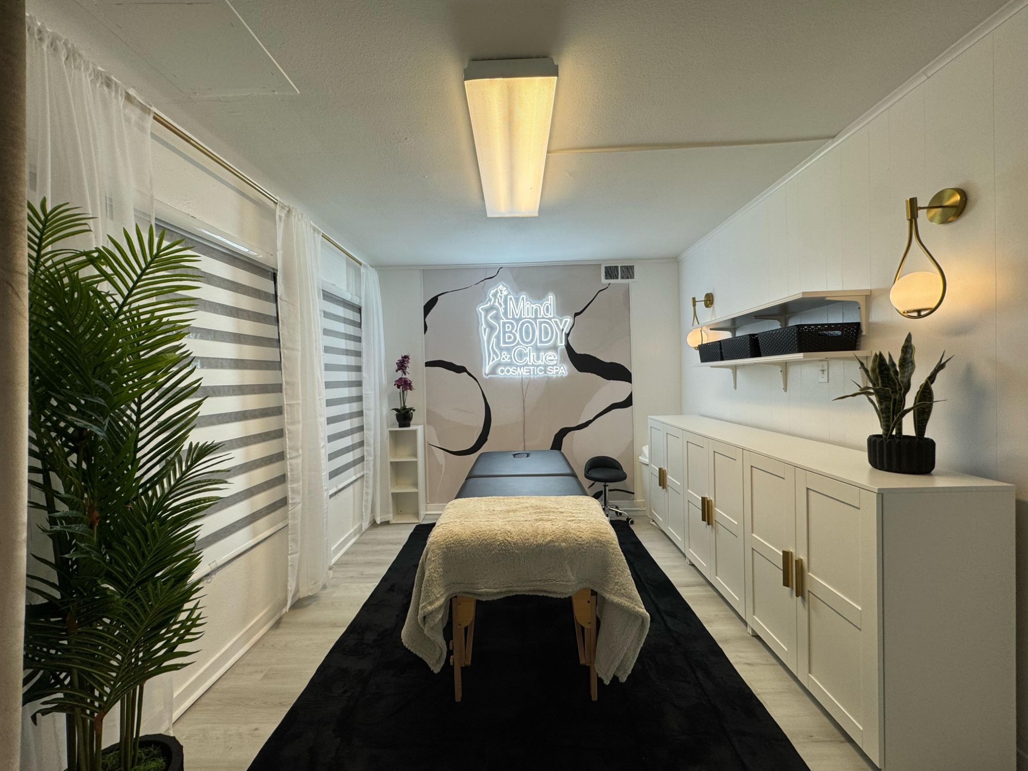 Wellness, spa, and med spa