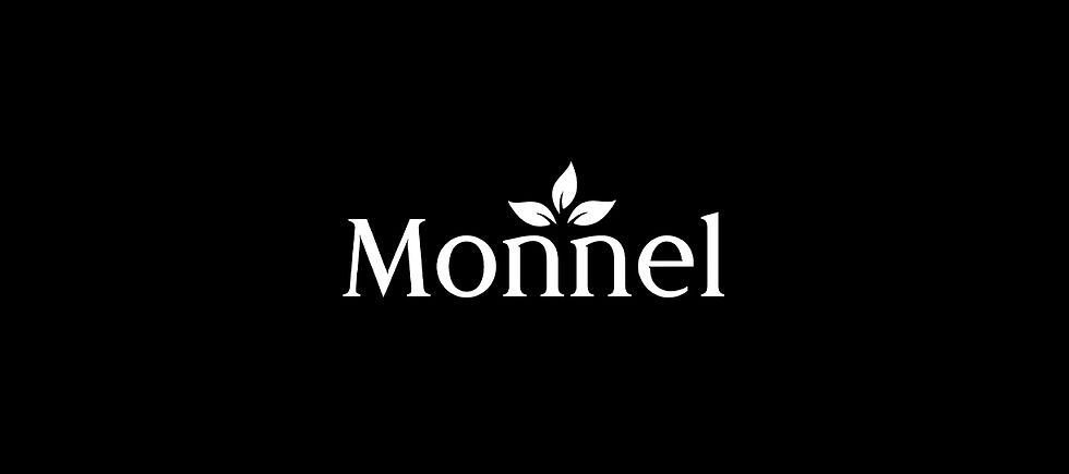 monnel_carosel
