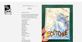 ecotone