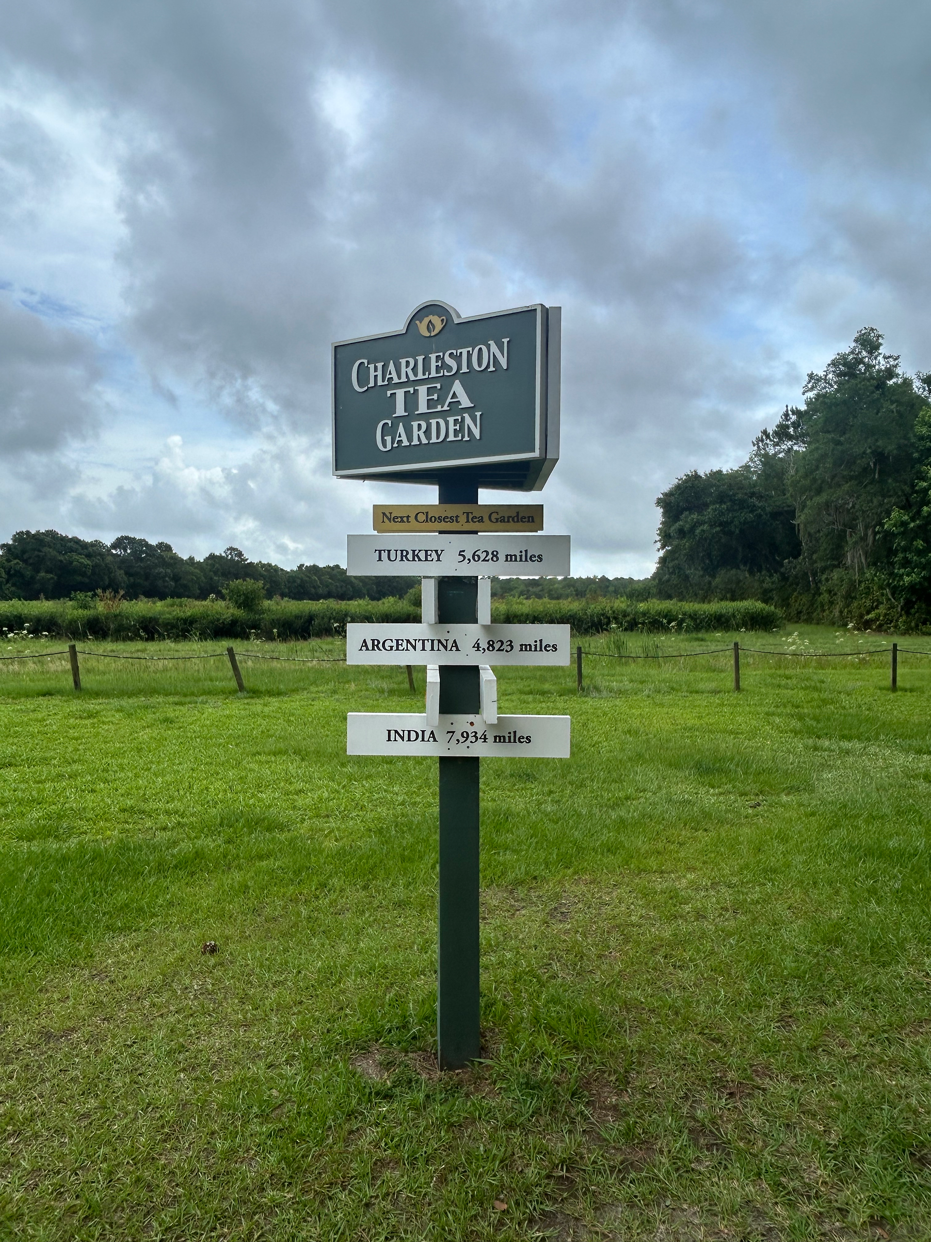 Nearest tea plantations….