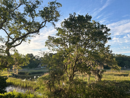 Charleston, SC - Hanging in the Lowcountry