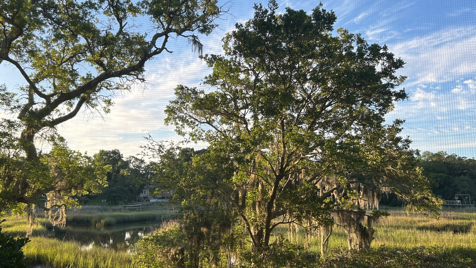 Charleston, SC - Hanging in the Lowcountry