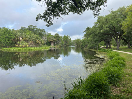 Living in New Orleans: Water, Water Everywhere