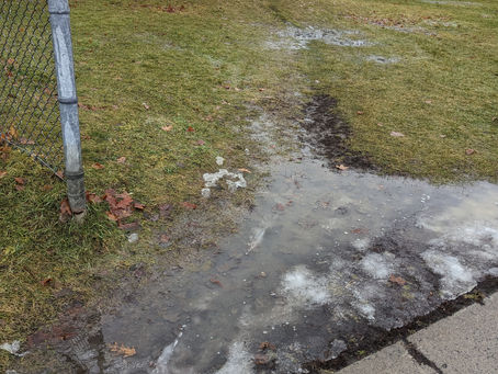 North Vineyard Pathway: Why community consultations matter.