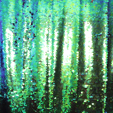IMG_0024.jpg
