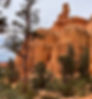 Red Canyon Hoodoos