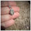 Thumbnail: Solid Cast Coffee Bean
