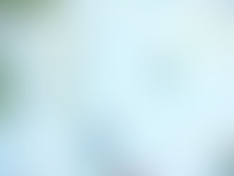 Artist Manifesto: Why I Make Art