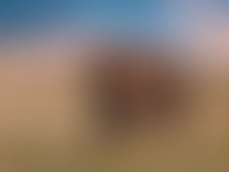 Things to Do in South Dakota