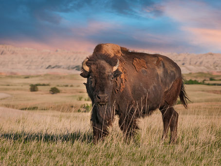 Things to Do in South Dakota