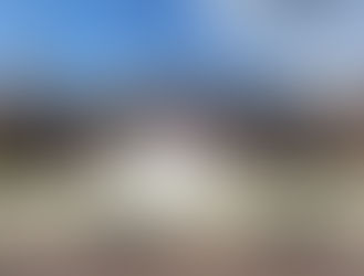 Alexandria VA Things to do