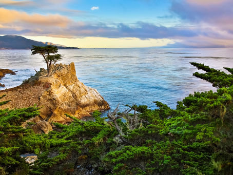 Things to Do in Monterey, CA