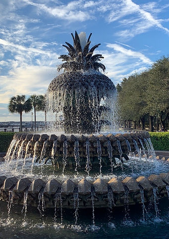 pineapple fountain.JPG
