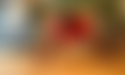 Préparation Physique - Entrainez vous maintenant, soyez fort demain !