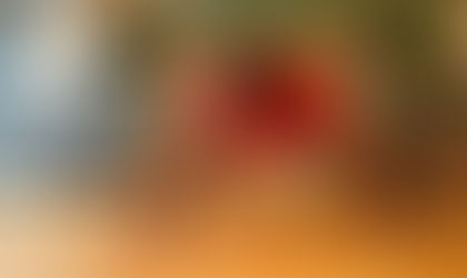 Préparation Physique - Entrainez vous maintenant, soyez fort demain !