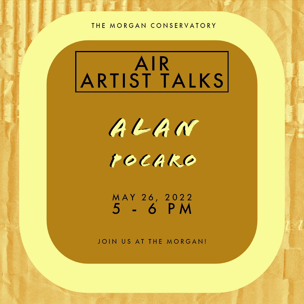 AIR Artist Talks