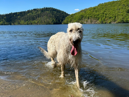 Lochneska