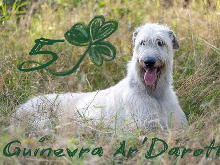 Guinevra slaví narozeniny!