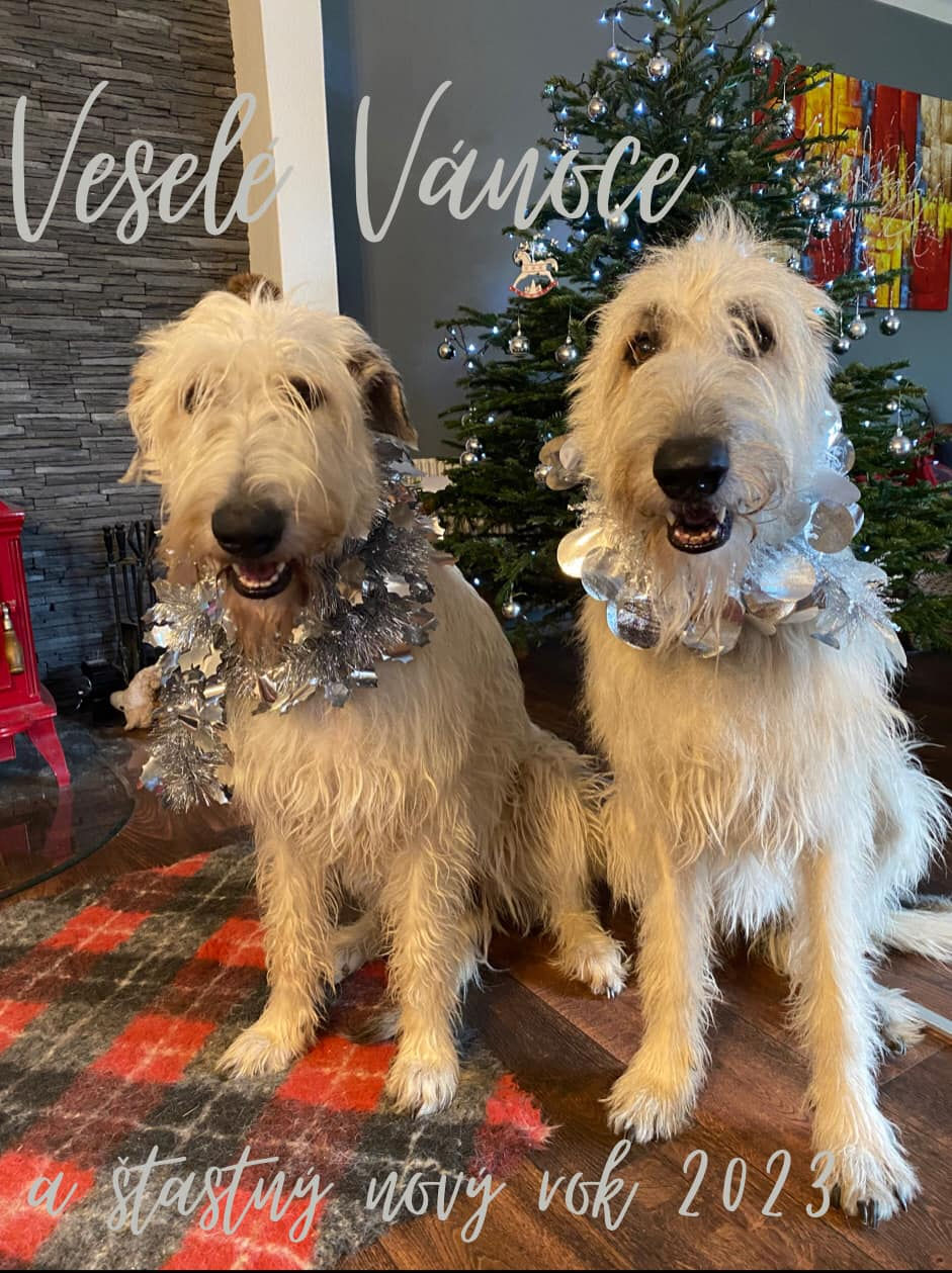 Merry Christmas 2022