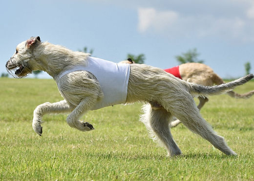 707360184_3079975208857244_4029169065728449888_n_edited.jpg