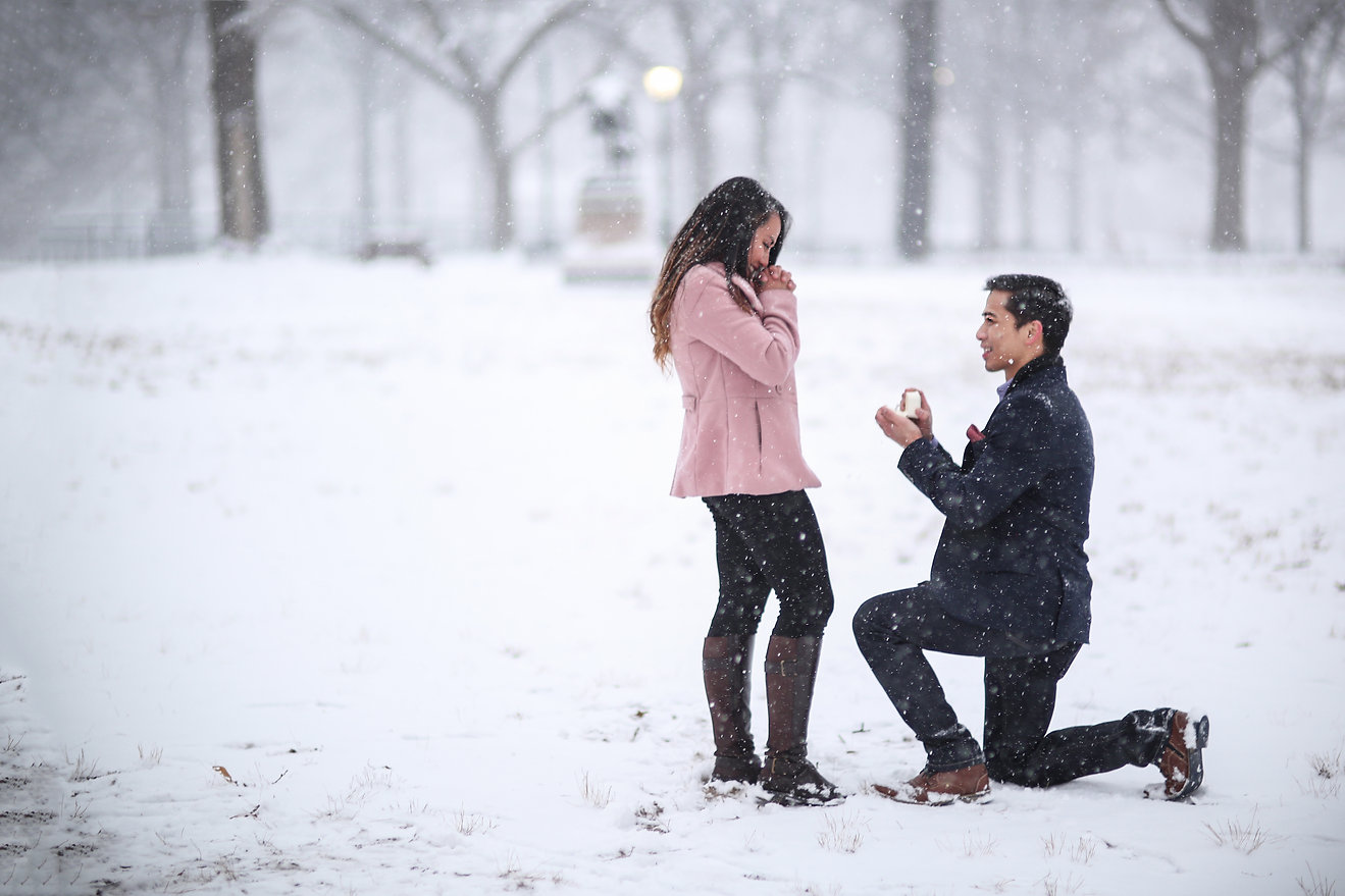 Romantic snowy central park proposal