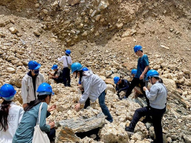 地球物質_於亞泥礦場大理岩礫石塊中尋找方解石結晶